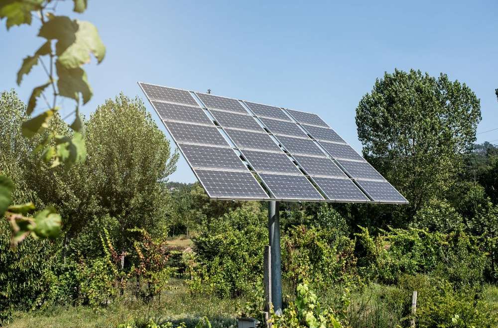 Paneles Solares